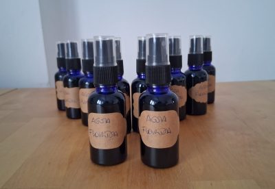 Agua florida, aprender brujería, como ser bruja, estudiar brujeria, bruja de ciudad