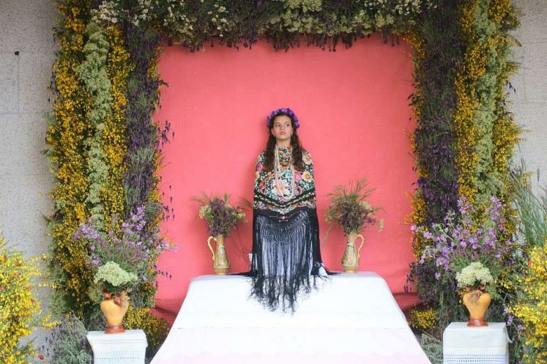 aprender brujería, cómo ser bruja, estudiar brujería en madrid, bruja de ciudad