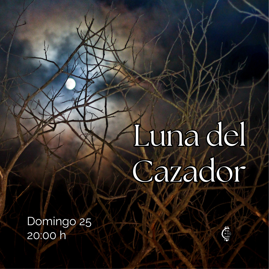 aprender brujería, estudiar para bruja, cómo ser bruja, bruja de ciudad, luna llena, ciclo lunar, luna llena octubre, luna del cazador