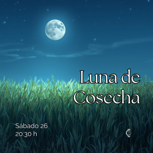 aprender brujería, estudiar para bruja, cómo ser bruja, bruja de ciudad, luna llena, ciclo lunar, luna llena septiembre, luna de cosecha